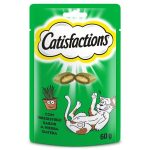 Catisfactions Cat Treats With Catnip 60 gm