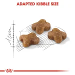 Royal Canin Kitten Cat Dry Food 2kg - Image 2