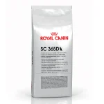 Royal Canin SC 365D Dry Cat Food - 15 KG