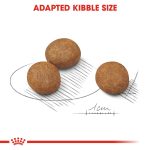 Royal Canin Maxi Puppy Dry Dog Food 16kg - Image 2