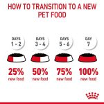 Royal Canin Digestive Care Wet Cat Food in Gravy 85g - Image 5