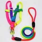 Rainbow Dog Harness and Leash Set - Large