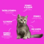 Legends For Kitten With Chicken - 3 KG - Image 2