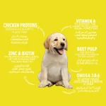 Legends Dogs For Puppies & Junior - 5 KG - Image 3