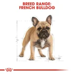 Royal Canin French Bulldog Adult Dog Dry Food 3kg - Image 3