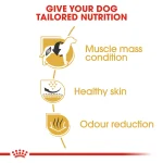 Royal Canin French Bulldog Adult Dog Dry Food 3kg - Image 4