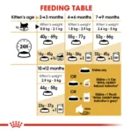 Royal Canin Persian Kitten Cat Dry Food - 400 gm - Image 3