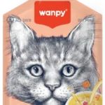 Wanpy Meat Broth with Tuna & Salmon 50g
