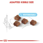 Royal Canin Mother & Babycat Dry Food - 400 gm - Image 2
