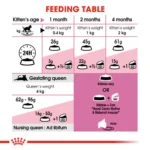 Royal Canin Mother & Babycat Dry Food - 400 gm - Image 4