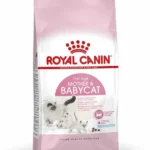 Royal Canin Mother & Babycat Dry Food - 400 gm