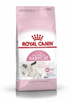 Royal Canin Mother & Babycat Dry Food - 400 gm