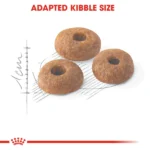 Royal Canin Fit 32 Dry Cat Food – 400gm - Image 2