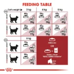 Royal Canin Fit 32 Dry Cat Food – 400gm - Image 5