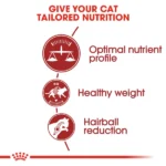 Royal Canin Fit 32 Dry Cat Food – 400gm - Image 3